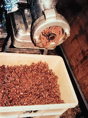 FOTO 5 RIO PESCADO.jpg